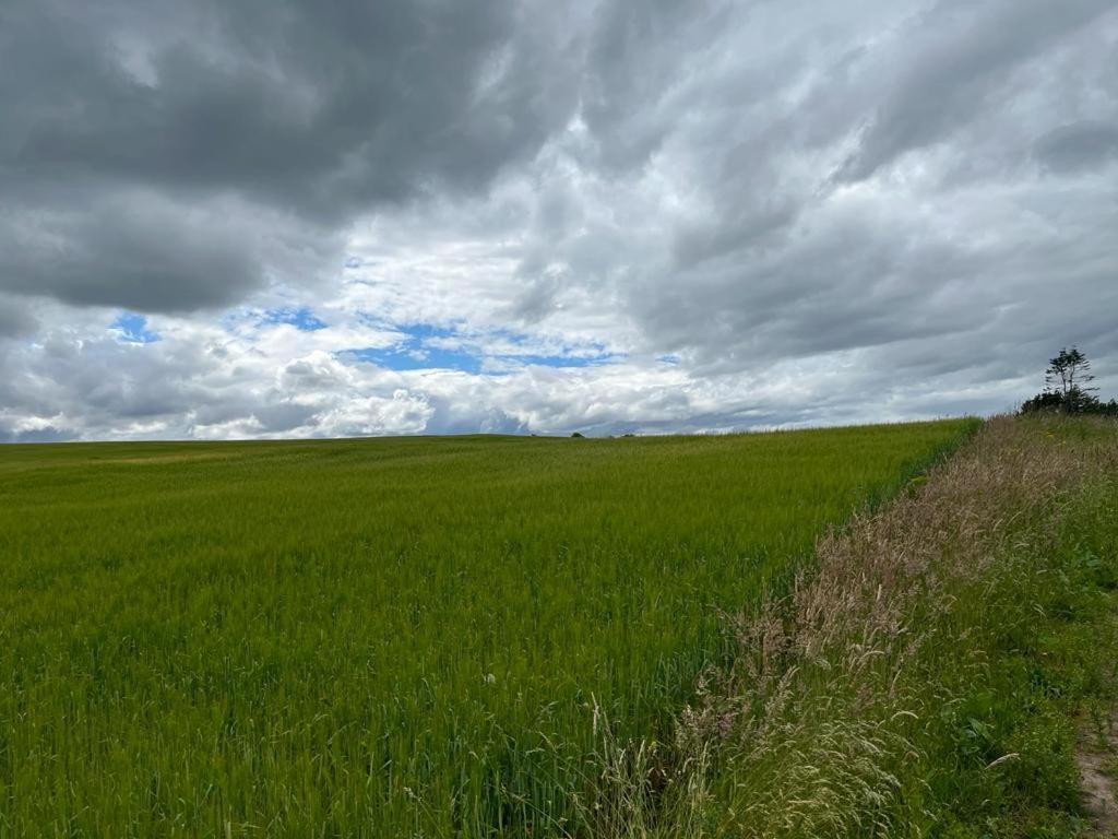 Willow Cottage Kinloss エクステリア 写真